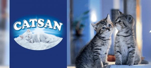 Катсан - популярный ящик для кошачьего туалета