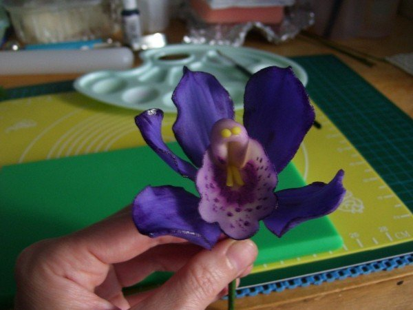 Красивые орхидеи из сахарной мастики: правила изготовления