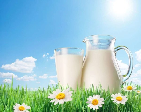 Секреты и рецепты приготовления вкусных блинов на молоке