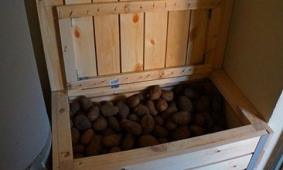 Ящик для хранения картофеля на балконе: разновидности контейнеров для картофеля, как сделать ящик своими руками (с подогревом и без) для хранения овощей зимой?