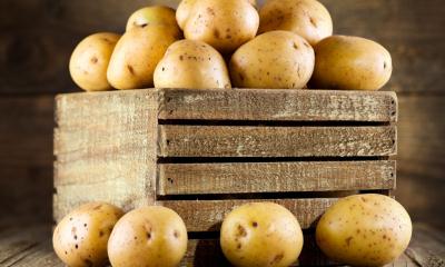 Картофельный ящик: виды тары для картофеля (пластиковый контейнер, деревянный ящик, металлический ящик, сундук, глиняный горшок и другие), как сделать своими руками?