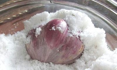 Хранение чеснока в соли: как хранить зубчики и целые головки на зиму в сухом продукте, рассоле и маринаде?