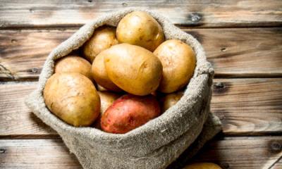 Картофельный ящик: виды тары для картофеля (пластиковый контейнер, деревянный ящик, металлический ящик, сундук, глиняный горшок и другие), как сделать своими руками?