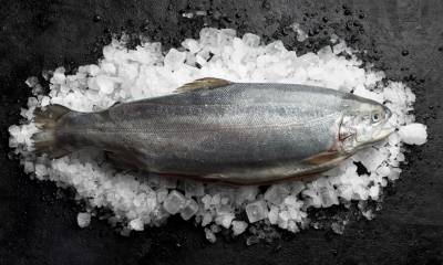 Можно ли солить замороженную рыбу после разморозки, как правильно солить красную, форель, белую?