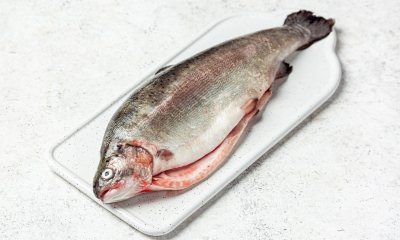 Срок годности охлажденной рыбы: в каких условиях хранится, по ГОСТу и СанПиНу, от чего зависит срок годности, сроки холодильник, морозилка, крупная индивидуальная