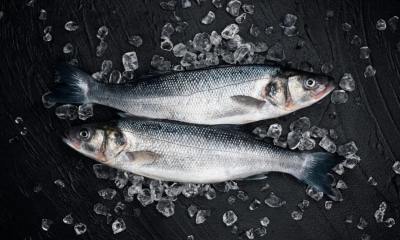Срок годности охлажденной рыбы: в каких условиях хранится, по ГОСТу и СанПиНу, от чего зависит срок годности, сроки холодильник, морозилка, крупная индивидуальная