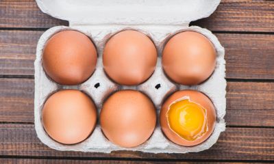 Срок годности яиц при комнатной температуре: сколько можно хранить сырые, вареные и жареные куриные, гусиные и другие виды, можно ли увеличить срок хранения?