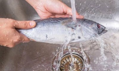 Разморозка рыбы: способы разморозки (в воде, на воздухе, в холодильнике, как быстро разморозить в микроволновке, как разморозить в духовке), функции в зависимости от вида