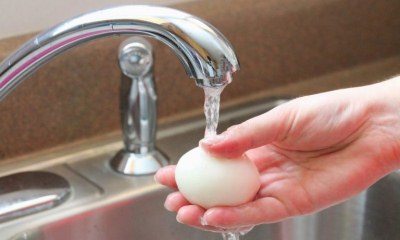 Можно ли мыть яйца перед хранением в холодильнике, почему нет, отличаются ли правила для куриных, перепелиных и других видов яичных продуктов?