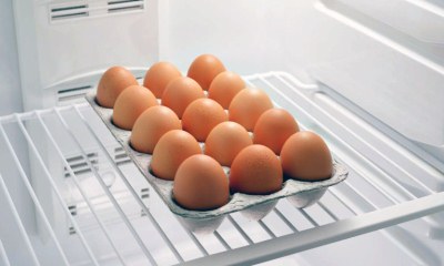 Сколько хранятся яйца в холодильнике: какой срок хранения куриных яиц, при какой температуре, сколько хранятся другие виды, как их правильно хранить?
