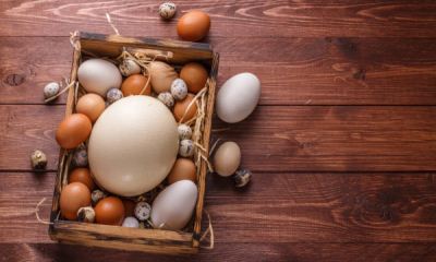 Срок годности яиц при комнатной температуре: сколько можно хранить сырые, вареные и жареные куриные, гусиные и другие виды, можно ли увеличить срок хранения?