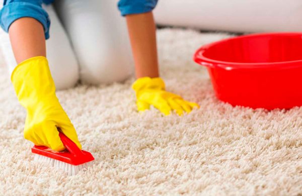 12 лучших средств для чистки ковров