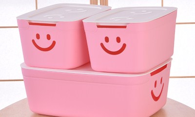 Пластиковый контейнер для хранения: преимущества и недостатки пластиковых ящиков, виды ящиков (большие, с крышками, прозрачные, для одежды), советы при покупке