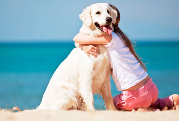 Уравновешенные и дружелюбные: 10 самых спокойных пород собак